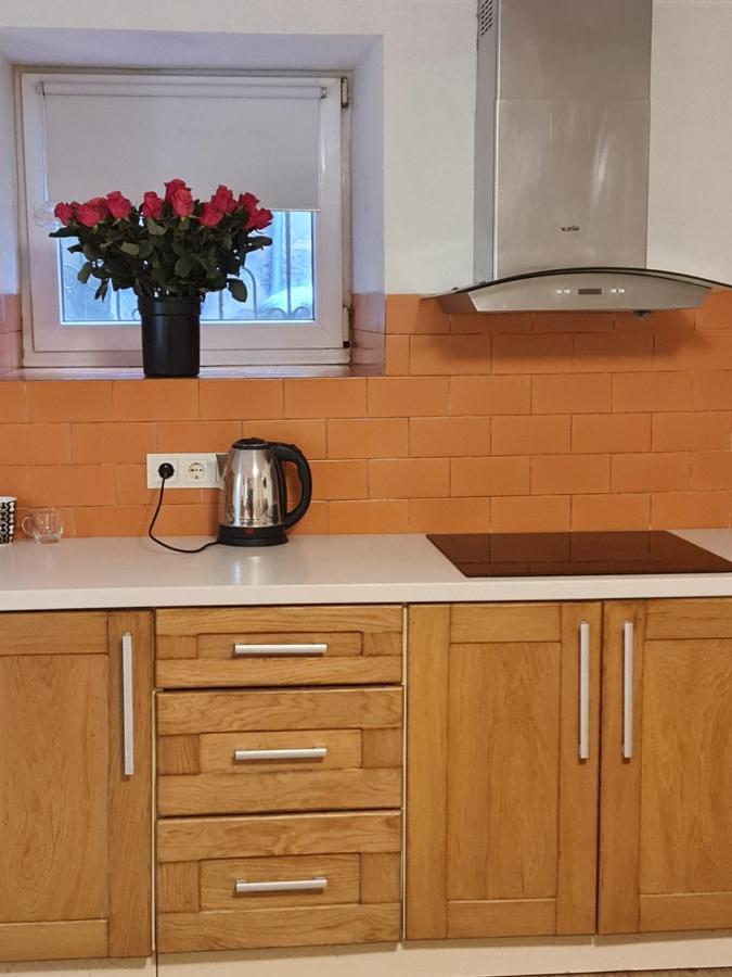 Студіо На Кoновальця Leilighet Lviv Eksteriør bilde